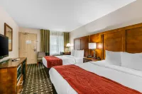 Comfort Inn Downtown Nashville - Music City Center Hotel a 