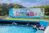Mikuli Homestay - Pools