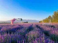 山乘小墅（晃晃村店） 欣驛自駕車營地（賽里木湖店）附近的飯店