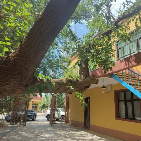 Moshang Sang Homestay
