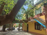 Moshang Sang Homestay