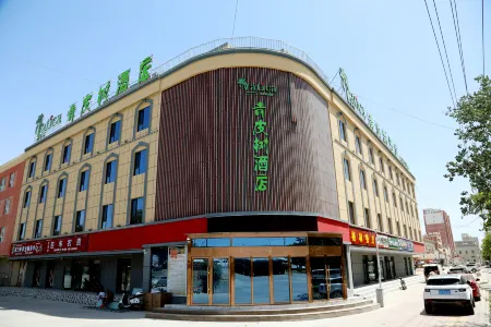 Vatica Hotel (Bachu County Tuanjie West Road)