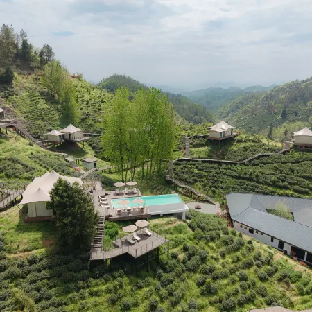 WILDRETREAT • QINLING TEA HIGHLANDS