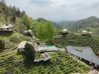 WILDRETREAT • QINLING TEA HIGHLANDS