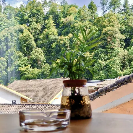 Gufanli Homestay (Mount Fanjing Scenic Area East Gate)