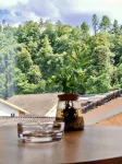 Gufanli Homestay (Mount Fanjing Scenic Area East Gate) - vue sur la montagne