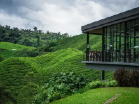 Avillion Cameron Highlands Hotels in Cameron Highlands