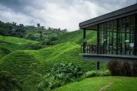 Avillion Cameron Highlands