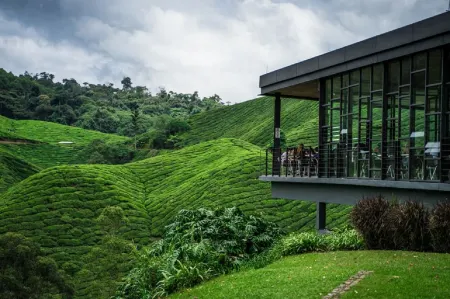 Avillion Cameron Highlands Отели рядом с достопримечательностью «Cameron Highlands Trail No. 3»