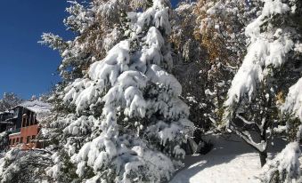 a snow - covered tree stands in front of a building , with a clear blue sky in the background at Karelia Alpine Lodge