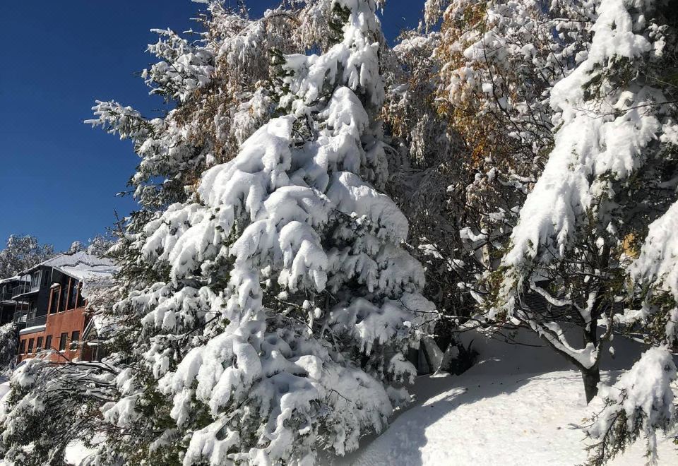 카렐리아 알파인 로지