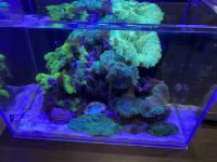 麗枫酒店(天津响螺湾滨海高铁站店) - 公共区域