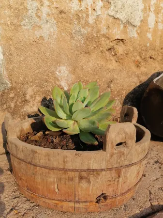 Zijin Yuji Homestay Отели рядом с достопримечательностью «Heyuan Yuewang Mountain Scenic Area»