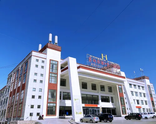 Himalaya Pulan Hotel Hotels in Purang