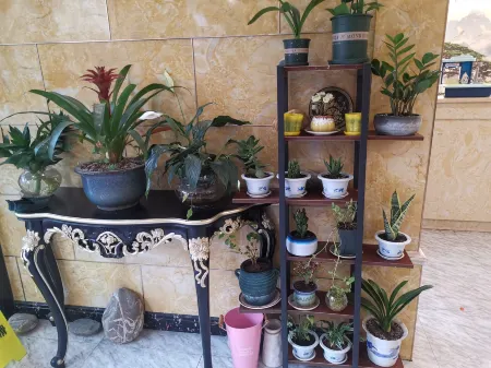 Taixing Yongjian Business Express Hotel Отели рядом с достопримечательностью «Liuwei Port»