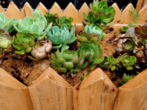 廣南九垓上民宿