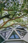 Tree Wow (Yuyao Store) - balcony