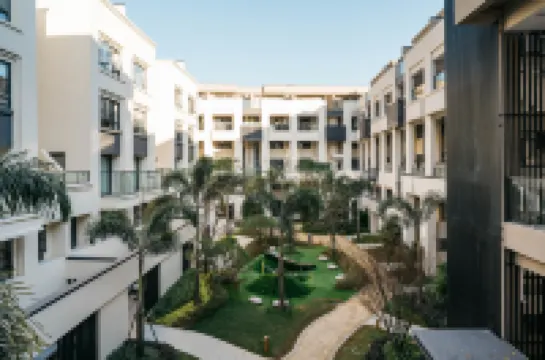 Midnight Grape Hotel