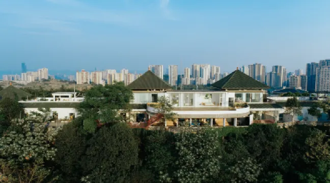 Duck Blood and Vermicelli Qingcheng Zhidian Guesthouse