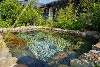 Yunxuan Homeland Hot Spring Hotel - Hot Springs