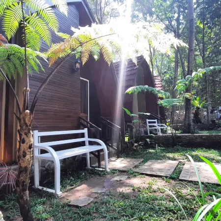 Pijar Resort powered by Cocotel