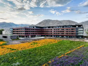 Popular Premium Hotels in Fuyun