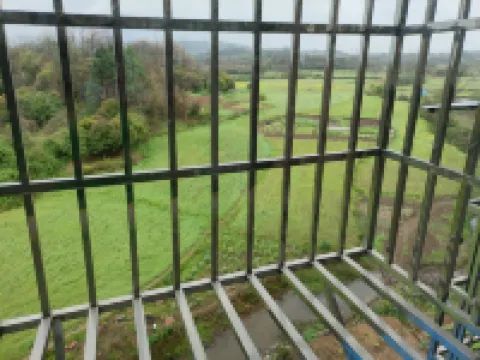 Encountering Famous Guests