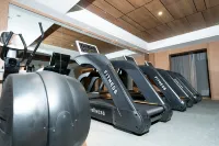 Jiutian Ruifeng International Hotel - Gym