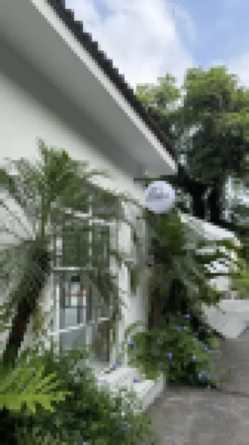 Leisurely Dwelling: Hidden Realm of Trees