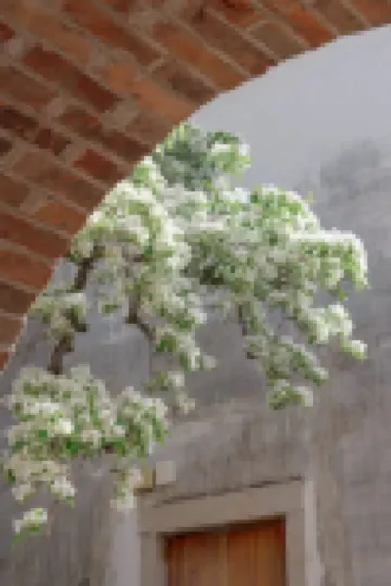 100 Inn Hotels in Fuzhou