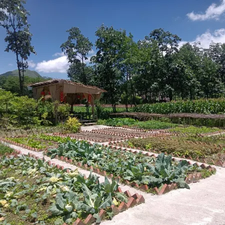 Fengdu County Homestay (Guli)