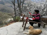 15/5000  Lung Chi Hospital (ShaoLok Shop, Lung Chi Terraces, West Hills) Hotels in Longji Terraced Field-Jinkeng Yao Village