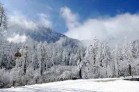 Hailuogou Pinshan Hotel Hotels in Luding