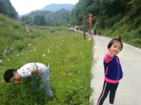 Shennongjia Bear Haunt Hotel Các khách sạn ở Shennongjia Hongping Airport