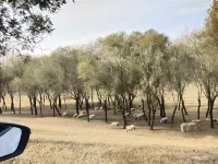 Jun Tang Meisu Hotel (Kaifeng Lankao Jiao Yulu Memorial Park Third People's Hospital Branch)