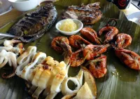 Tropicana Castle Dive Resort powered by Cocotel