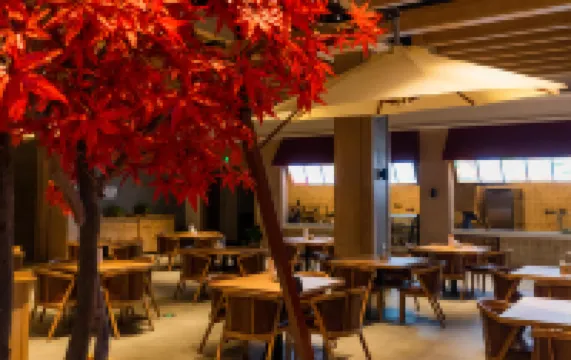 Luming Hot Spring Hotel (Wanfeng Tonghua Ski Resort)