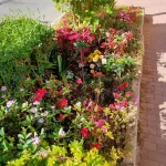 Guangnan Wangyuan Hotel