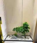 Liwuqixuan Smart Hotel Hotels in Riwoche County