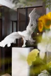 Park Plaza Hengyang - Gym