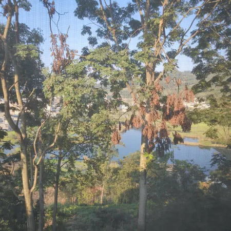 Mahu Yanyuxuan B&B