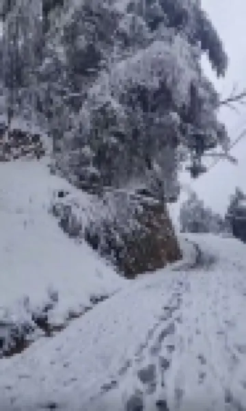 Pingxiang Yueshan Homestay