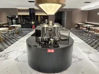 LION KING HOTEL GROUP