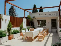 forest say - Homestays