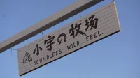 Xiaoyu's Pasture in Xilamuren