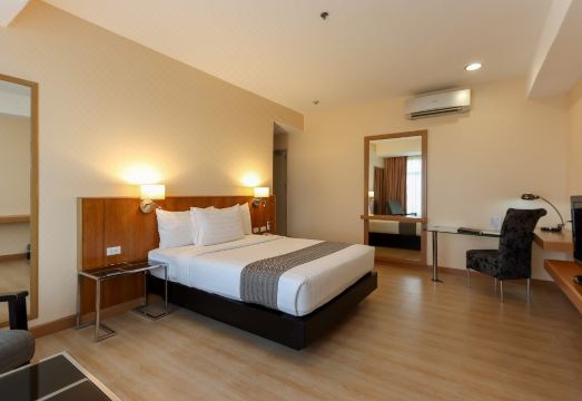 5. 파세오 프리미어..