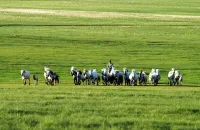 Xiwuqi Khancheng Homestay Hôtels à : Bannière occidentale d'Ujimqin