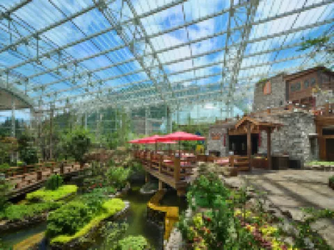 อินเตอร์คอนติเนนตัล รีสอร์ต จิวจ้าย พาราไดซ์