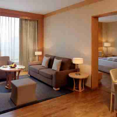 新德里德瓦卡麗笙飯店 Rooms