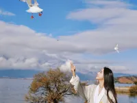 Arcadia · Anzhi Yingluo Seascape Resort Hotels near Shuanglang